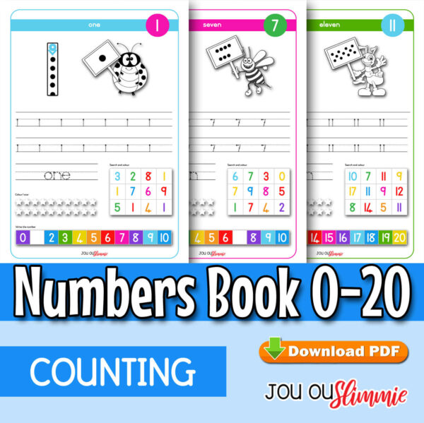 0-20 Numbers Book