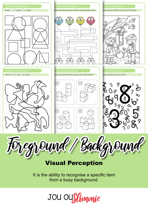 Visual Perception | BIG set