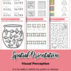 Visual Perception | BIG set