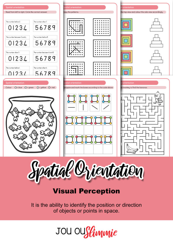 Visual Perception | BIG set