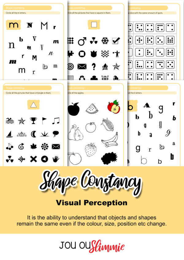 Visual Perception | BIG set