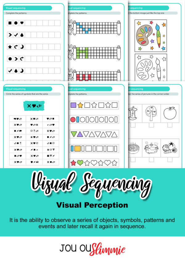 Visual Perception | BIG set