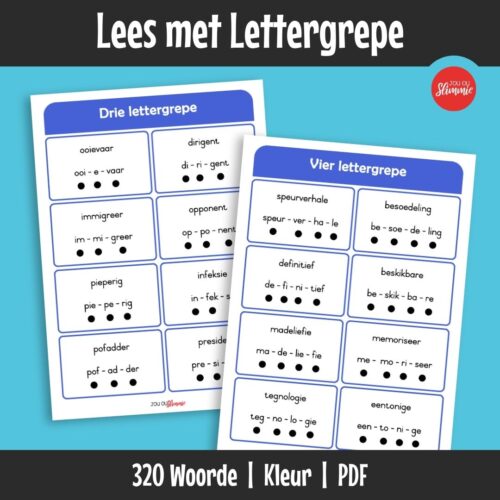 Leeskaarte wat kinders help om Afrikaanse woorde in lettergrepe op te breek vir makliker lees en spel. Leerders leer om langer woorde stukkie-vir-stukkie te lees.