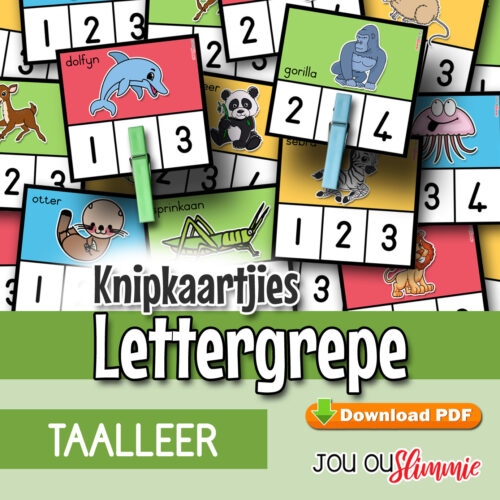 Lettergrepe-kaartjies