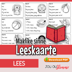 ’n Stel van 80 eenvoudige leesstories, geskik vir vroeë lesers wat met gemengde klanke werk. (Aflaaibare PDF)