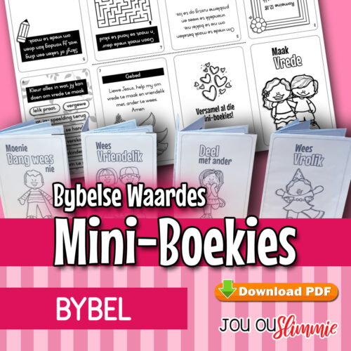 Mini-Boekies oor Bybelse waardes
