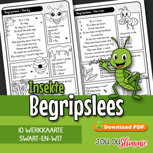 Hierdie begripslees-oefeninge help kinders om kort nie-fiksie tekste te lees en te verstaan. Elke leesstuk sluit vrae en visuele ondersteuning in om leesbegrip stap vir stap te bou.