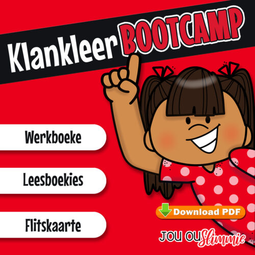 ’n Bondige klankleer-pakket met kern hulpmiddels om jou kind gerigte ondersteuning te bied in klankherkenning, woorddekodering en leesvloei – ideaal vir ouers en kinders met beperkte tyd.