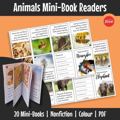 A set of small, foldable mini reading booklets about animals that practise reading skills in a fun way. Each booklet combines simple reading with short comprehension exercises.