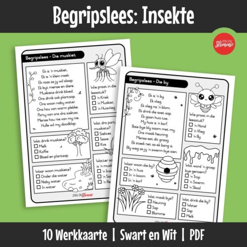 Hierdie begripslees-oefeninge help kinders om kort nie-fiksie tekste te lees en te verstaan. Elke leesstuk sluit vrae en visuele ondersteuning in om leesbegrip stap vir stap te bou.