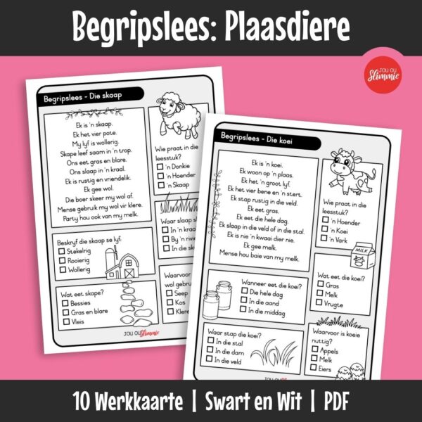 Hierdie begripslees-oefeninge help kinders om kort nie-fiksie tekste te lees en te verstaan. Elke leesstuk sluit vrae en visuele ondersteuning in om leesbegrip stap vir stap te bou.
