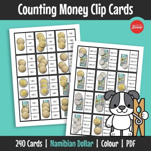 A practical activity for counting money using the Namibian currency. Learners practise money recognition and simple calculations.