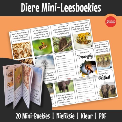 'n Stel van klein, voubare mini-leesboekies oor diere wat leesvaardigheid op ’n prettige manier oefen. Elke boekie kombineer eenvoudige lees met kort begripsoefeninge.