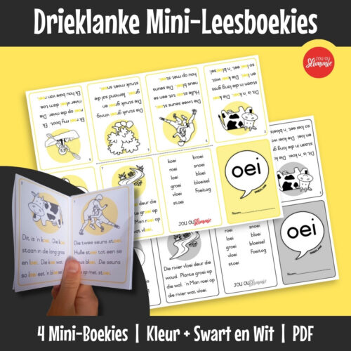 Prettige, voubare mini-boekies wat elkeen slegs op een drieklank-kombinasie fokus sodat die leerder die klank kan vaslê voordat daar na ander klanke beweeg word.