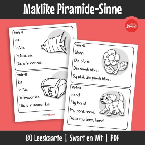 Eenvoudige leeskaarte help vroeë lesers om kort sinne met gemengde klanke te oefen en leesvlotheid te bou. Leerders lees kort stories met herhalende patrone wat geleidelik moeiliker word.