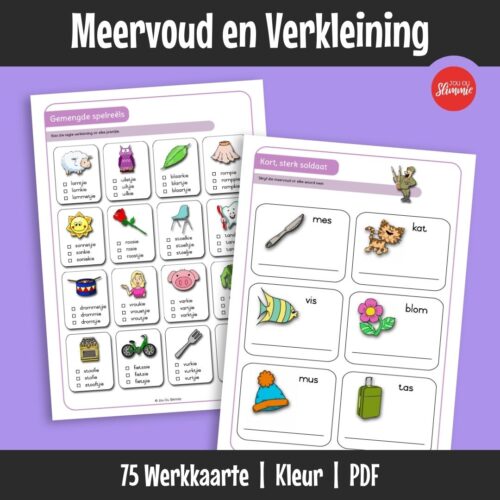 ’n Werkboek wat leerders help om die basiese reëls vir meervoude en verkleinwoorde in Afrikaans te oefen met behulp van die immergroen soldate-stories.