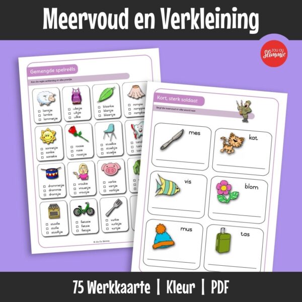 ’n Werkboek wat leerders help om die basiese reëls vir meervoude en verkleinwoorde in Afrikaans te oefen met behulp van die immergroen soldate-stories.