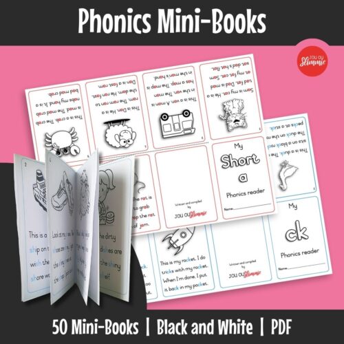 Fun, foldable mini-books that each focus on only one phonics sound, allowing the learner to master the sound before moving on to others.