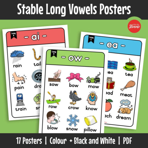 Stable long vowel posters covering consistent long vowel spelling patterns for phonics support. Learners identify long vowel sounds through grouped spelling patterns and example words.