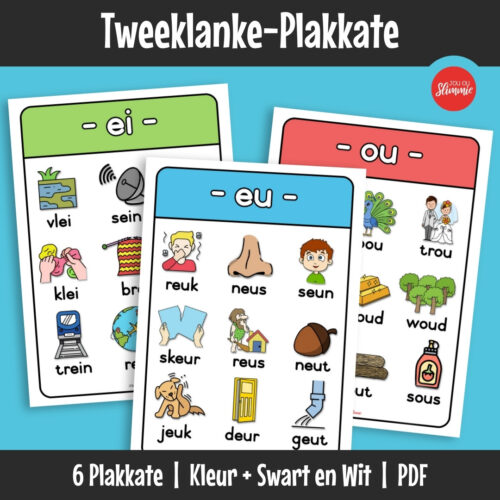 Klankleer-plakkate wat moeilike klankkombinasies visueel ondersteun. Leerders herken en identifiseer tweeklanke deur duidelike patroonvoorstelling.